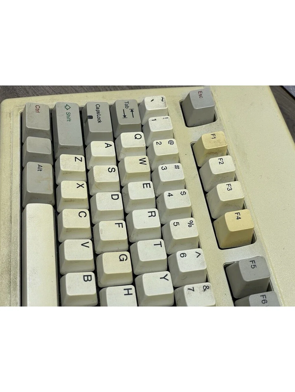 Focus Electronic Co. XT/AT FK-8000 Mechanical Keyboard COMPLETELY UNTESTED *READ